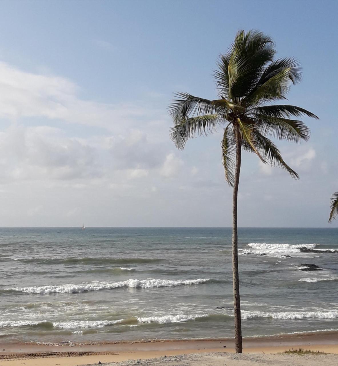 Salvador Surf Hostel Zewnętrze zdjęcie